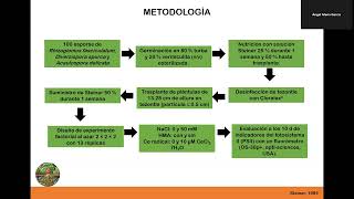 CERIO Y HONGOS MICORRÍZICOS ARBUSCULARES EN INDICADORES DE EFICIENCIA DEL FOTOSISTEMA II [upl. by Nitsrik]