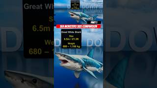 SEA MONSTERS Size Comparison PART 1  shark ocean bloop elgranmaja megalodon [upl. by Amian564]