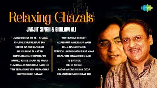 Relaxing Ghazals  Chithi Na Koi Sandesh  Dil E Nadan  Jagjit Singh Ghazals  Best Of Ghazal [upl. by Lesh]