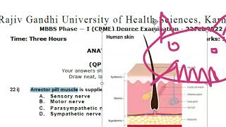 Anatomy 702 Arrector Pili Muscle Sympathetic Nerve PiloMotor Solved Question Paper MCQ [upl. by Nellak]