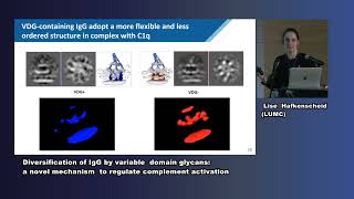 Roxane Biersteke  Diversification of IgG by VD glycans a novel mechanism to regulate complement [upl. by Bradski]