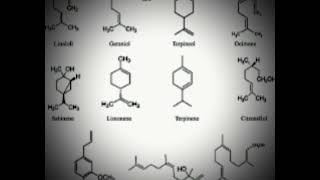 Introduction to Terpenes [upl. by Gan422]