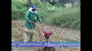 GARDER TILLER INDIA  RGT 252  REDLANDS ASHLYN MOTORS PLC  THRISSUR  POWER WEEDER  GARDEN TILLER [upl. by Maurits]