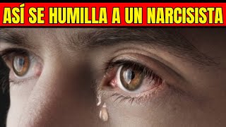 ¿CÓMO HUMILLAR A UNA PERSONA NARCISISTA INFIEL Tpn [upl. by Eiboh]