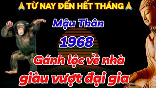 ĐÀO TRÚNG MỎ VÀNG TUỔI MẬU THÂN 1968 TỪ NAY CHO ĐẾN HẾT THÁNG  GÁNH LỘC VỀ NHÀ GIÀU VƯỢT ĐẠI GIA [upl. by Waterman]