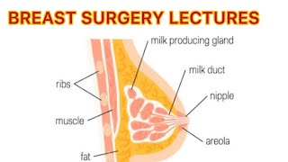 BREAST SURGERY LECTURES part 9 Fibroadenoma  Phyllodes tumor breastsurgery breast surgery [upl. by Bryant]