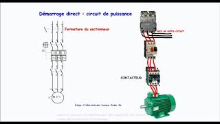 Fonctionnement dun démarrage direct dun moteur asynchrone triphasé [upl. by Borer281]