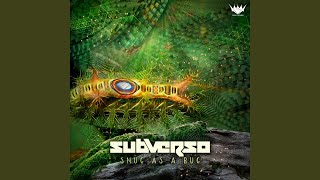 Frequency Initiation Subverso Remix [upl. by Airom472]