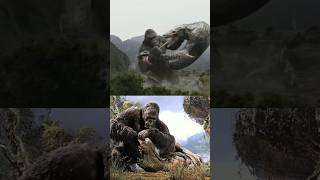 King Kong vs TRex 2005 or Kong vs Skull Crawlers Kong Skull Island Which is cooler Godzilla [upl. by Yrennalf]