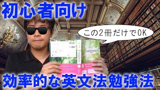 【社会人やり直し組必見】初心者向け英文法の勉強法【エバーグリーンと頻出英文法・語法問題1000】 [upl. by Mccall]