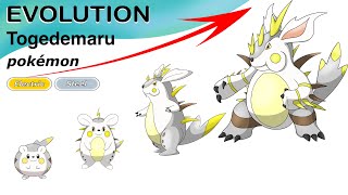 25 The Evolution of Pokemon Togedemaru  Mega Evolution [upl. by Lenoyl]