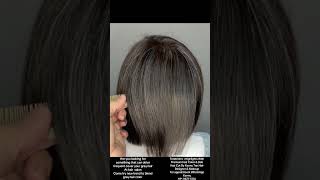 Blend gray hair color by Kenny Tan hair Designer HP 9877 1376 hairstyle kennytanhairdesigner [upl. by Seniag]