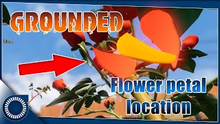 GROUNDED  Where to easily find Flower petals [upl. by Aillicsirp]