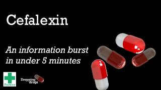 Cefalexin information burst [upl. by Kobe]