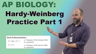 AP Biology  Hardy Weinberg Practice Problems  Part 1 [upl. by Marcus]