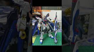 RG Strike Freedom Gundam [upl. by Akerue]