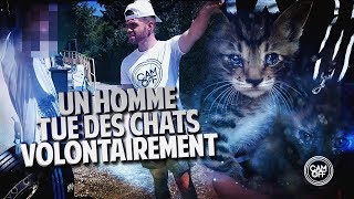 IL ÉCRASE VOLONTAIREMENT DES CHATS AVEC SA VOITURE   CAM OFF [upl. by Ardnauqal]