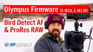 Olympus Firmware Updates Bird Tracking and ProRes Raw [upl. by Eineg]