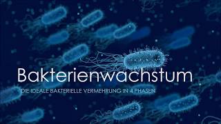 Bakterienwachstum  Die ideale bakterielle Vermehrung in 4 Phasen Biologie [upl. by Vogeley]