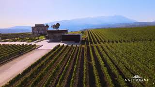 Podere Castorani  200 years of history in Abruzzo Italy [upl. by Washko245]