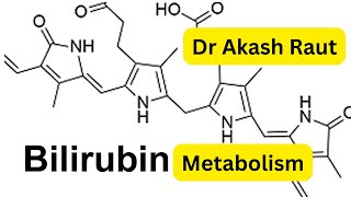 Bilirubin Metabolism Degradation of HemeBasic Science MBBS Biochemistry LecturesDr Akash Raut [upl. by Mort93]