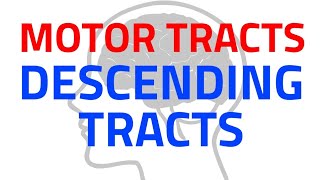 MOTOR TRACTS  DESCENDING TRACTS  CNS PHYSIOLOGY  NEUROPHYSIOLOGY [upl. by Balthazar]