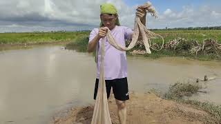 Amazing Catching Fish 2024 ចាមបង់ត្រីអត់បានស្លទាឮេ [upl. by Notsgnal]