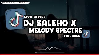 DJ SALEHO X MELODY SPECTRE SLOW REVERB  DJ SALEHO FULL BASS VIRAL TIKTOK 2024 [upl. by Ocirled]