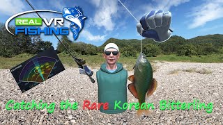 How to catch the Korean Bitterling in Real VR Fishing Year 2 Edition [upl. by Zaraf]