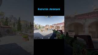 Тактика для CS2 shorts cs2 steam gaming приколы [upl. by Leyla]