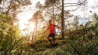 SWEDISH CHAMPIONSHIP IN ORIENTEERING LONG DISTANCE [upl. by Ingraham257]