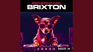 Brixton [upl. by Aleirbag]