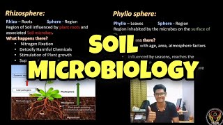 Soil Microbiology  Tamil  Rhizosphere  Phyllosphere  Soil Organisms  ThiNK VISION  Biologytnk [upl. by Essyla]