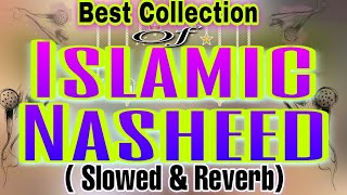 Best of Islamic Nasheed  Slowed amp Reverb [upl. by Emili]