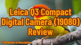 Leica Q3 Compact Digital Camera 19080 Review [upl. by Nomed120]