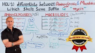 Aminoglycosides vs Macrolides  Antibiotics  Pharmacology [upl. by Genesia]