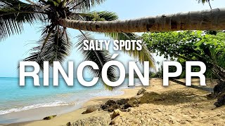 Spearfishing amp Exploring in Rincón Puerto Rico  Salty Spots [upl. by Tracie540]