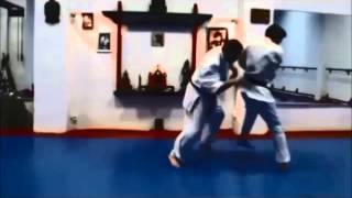 Ashihara Karate Techniques 1 [upl. by Jegger239]