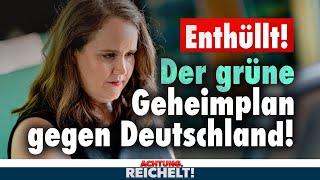 Grüner Geheimplan mit Bürgerrat Das wäre die totale Überwachung Achtung Reichelt vom 16092024 [upl. by Mathilde380]