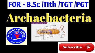 Archaebacteria For BSc 11th TGT PGT Scholars classes [upl. by Enilekcaj]