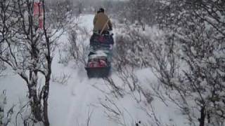 Iditarod Trail conditions [upl. by Kursh]