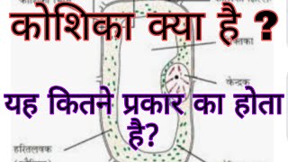 कोशिका क्या है यह कितने प्रकार का होता है  What is a Cell [upl. by Kamin]