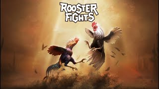 Rooster fight  GAMEPLAY REVIEW VIDEO  PY ROUK [upl. by Solberg74]