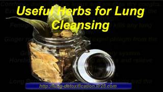 How to Detoxify Lungs Detoxify Lungs [upl. by Llertnahs77]