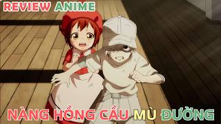 Tế Bào Máu Mù Đường  REVIEW PHIM ANIME HAY [upl. by Alywt981]