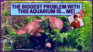 Biggest Problem with Heavily Planted Aquarium Me [upl. by Earehs]