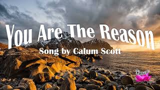 You Are The Reason Lyrics  Calum Scott [upl. by Ahterahs]