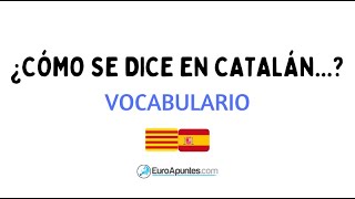 ¿CÓMO SE DICE EN CATALAN VOCABULARIO 1 [upl. by Neurath719]