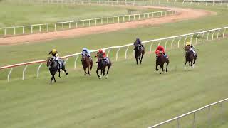 Mareeba 11052024 Race 1 [upl. by Winther]