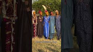 Gerewol Festival  Chad  Central Africa [upl. by Acemahs389]